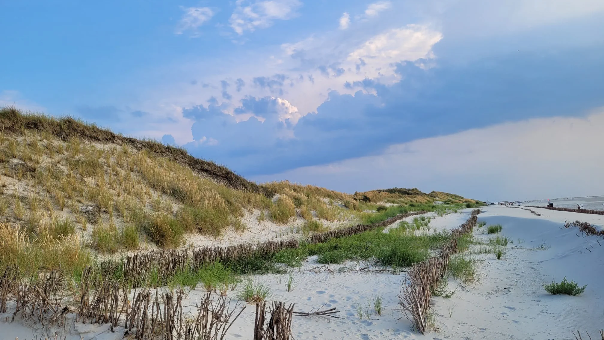 Banner image of a scenic white beach with grassy dunes taken on the german island of Amrum.